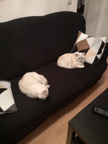 Customer photo review of Modernes Braun - Kissenüberzüge 45 X 45 cm X 2 Artikel - Das Haus der Überzüge