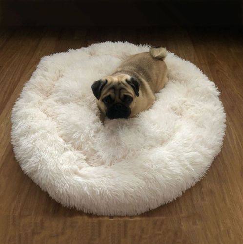 Customer photo review of Kuscheliges ergonomisches Hundebett "Wolke 7"