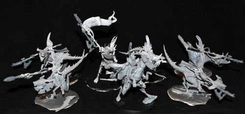 Customer photo review of EXCLUSIVE Draahk RAID Pack (DE - F)