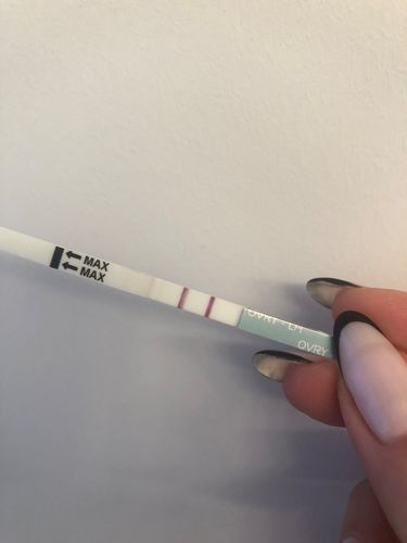 Customer photo review of Ovulation Test Strips