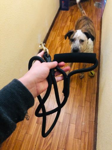 Customer photo review of Petyfy ™ Premium Nylon Leash