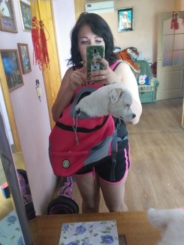 Customer photo review of Petyfy™ Dog Backpack + Reflective Dogs Harness for FREE!