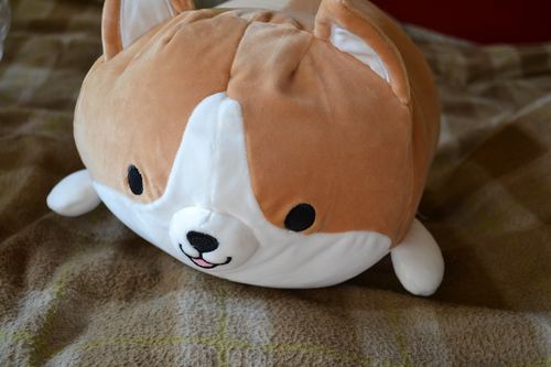 Customer photo review of Corgi Plushie