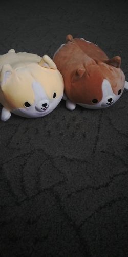 Customer photo review of Corgi Plushie