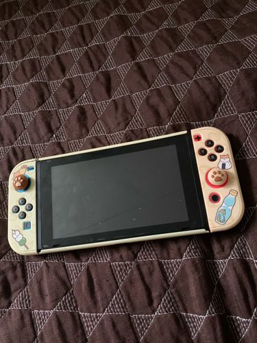 Customer photo review of Shiba Inu Switch Lite Case