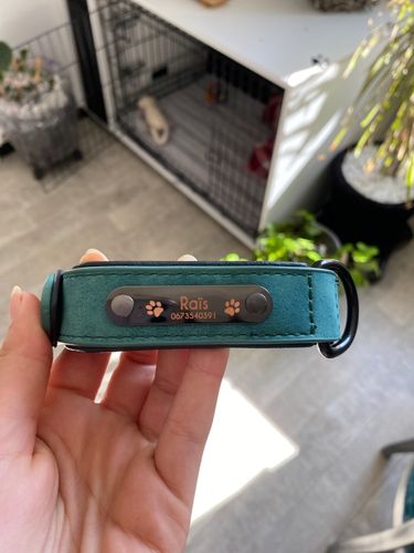 Customer photo review of Personalized Shiba Collar and Leash