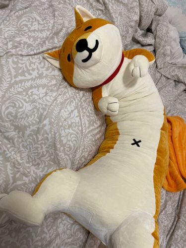 Customer photo review of The Three Smiley Shibas