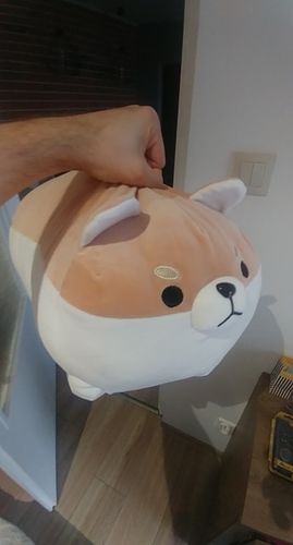 Customer photo review of Chonky Angery Boi The Angry Shiba Pillow