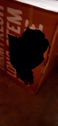Customer photo review of Timothy Hay Box