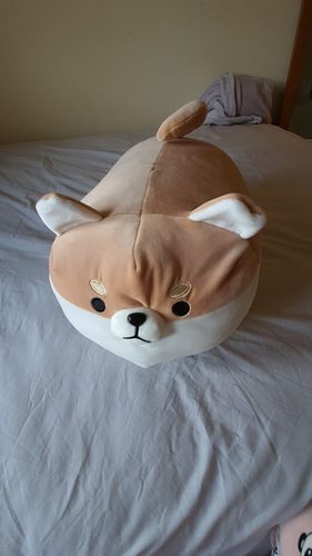 Customer photo review of Chonky Angery Boi The Angry Shiba Pillow