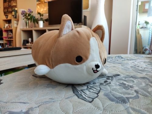 Customer photo review of Corgi Plushie