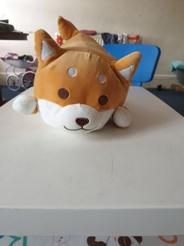 Customer photo review of Happy Shiba