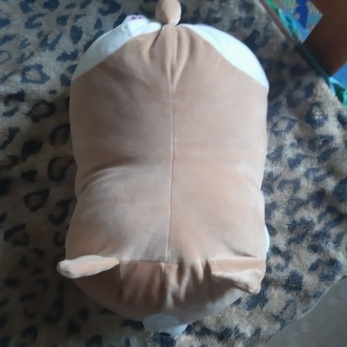 Customer photo review of Corgi Plushie