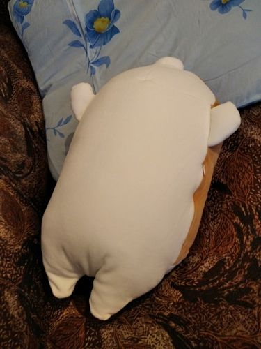 Customer photo review of Corgi Plushie