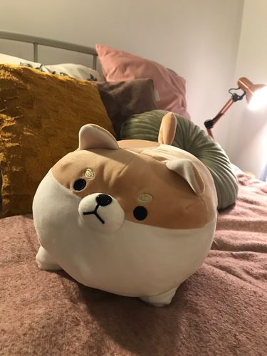 Customer photo review of Chonky Angery Boi The Angry Shiba Pillow