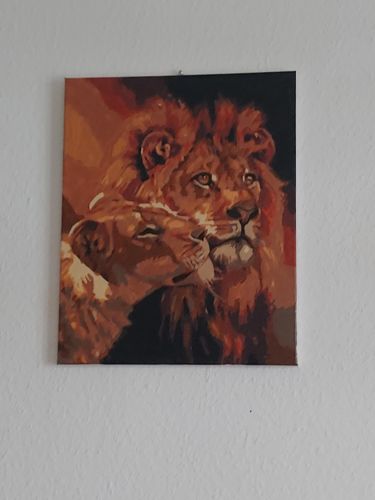 Customer photo review of Malen nach Zahlen - Männlicher und Weiblicher Löwe