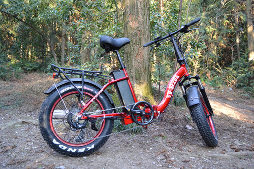 Customer photo review of VTUVIA SF20 20 Inch Folding Fat Tire Electric Bike, 750W Motor, 48V 13AH Removable Battery-All Colors In Stock