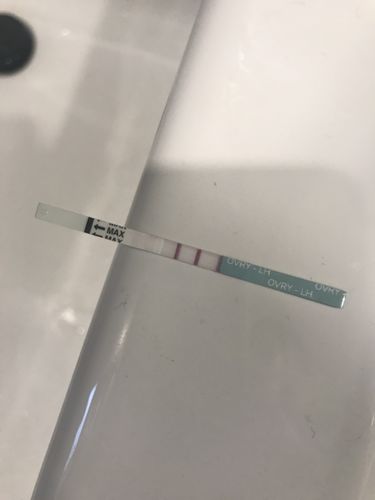 Customer photo review of Ovulation Test Strips