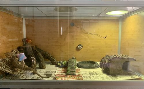 Customer photo review of 4'x2'x2' Wood Panel Reptile Enclosure by Zen Habitats