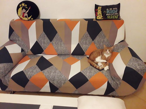 Customer photo review of Modern - Housses Extensibles de Fauteuil et Canapé - La Maison des Housses
