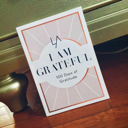 Customer photo review of Daily Gratitude Journal