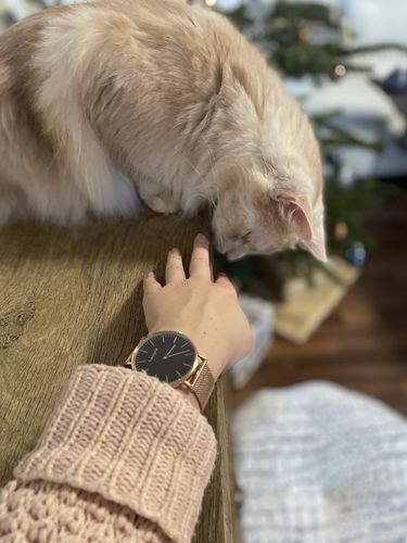 Customer photo review of Paris Edition Limited