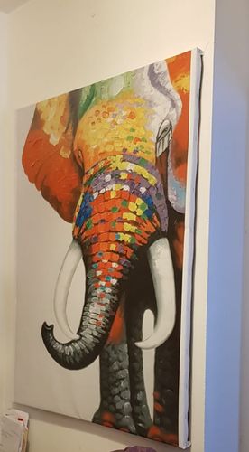 Customer photo review of Tableau Éléphant Artistique