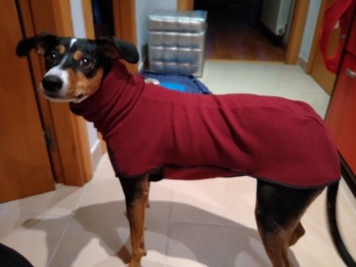 Customer photo review of Casaco / Blusão / Camisolão Quente para Cães de Raças Grandes