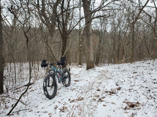 Customer photo review of Montana Carbon 27.5 FS Fat Bike