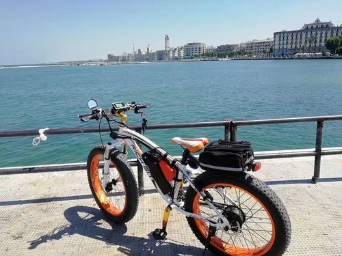 Customer photo review of Top-012 Powerful 1000W 48V 17Ah Electric Fat Bike