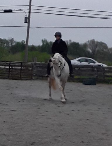 Customer photo review of Joint Flex » Free Shipping