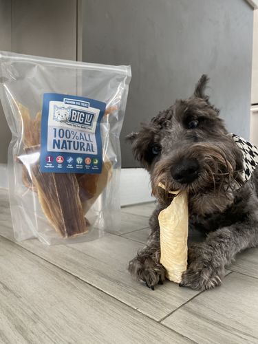Customer photo review of Surprise Me Hooman