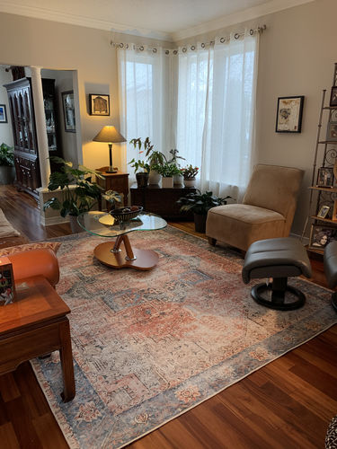 Customer photo review of Distressed Vintage Cezanne Terracotta Sky Area Rug