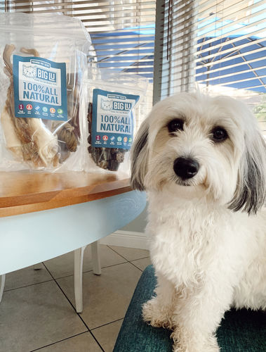 Customer photo review of Surprise Me Hooman