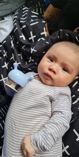 Customer photo review of Mombella Soothing Mushroom Teether - Blue