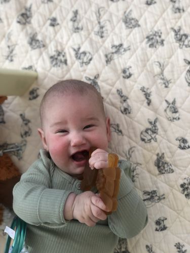 Customer photo review of Bambeado - Little Bamber Amber and Rubber Teething Toy