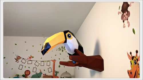 Customer photo review of Toucan