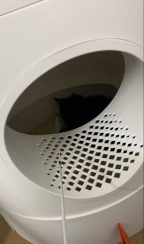 Customer photo review of Mayitwill XL Castle 2 in 1 Front-Entry Semi-Closed Cat Litter Box with Scoop
