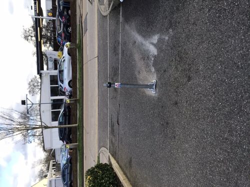 Customer photo review of Top-Lok Fold Down Parking Post