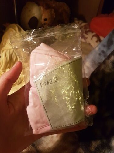 Customer photo review of Carbon Filter and Cotton PM2.5 mask in multiple colors + 2 filters