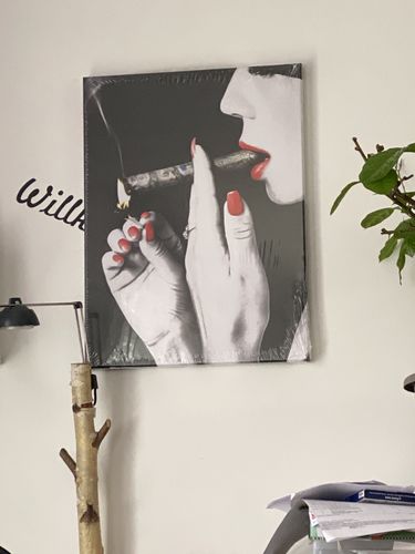 Customer photo review of Tableau Smoke Money