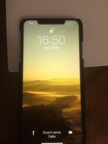 Customer photo review of iPhone Xs Max Ricondizionato
