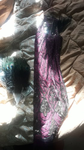 Avis photo d'un client sur Robe Flapper Année 20 Maxi à Paillettes