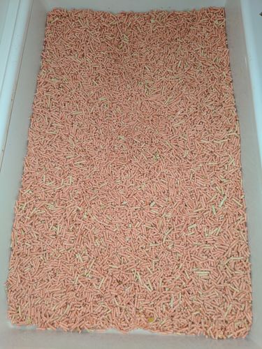 Customer photo review of Michu Tofu Natural Clumping Cat Litter 2.5kg/6L
