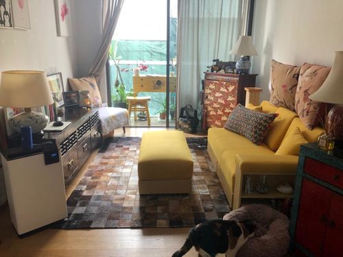 Customer photo review of Sofa Bed: SB10