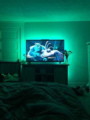 Customer photo review of omgLEDs 1.0 Light Strip