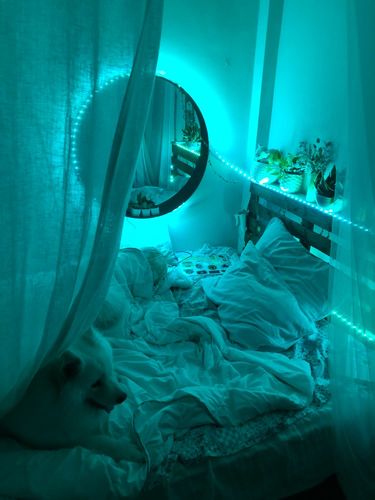 Customer photo review of omgLEDs 1.0 Light Strip