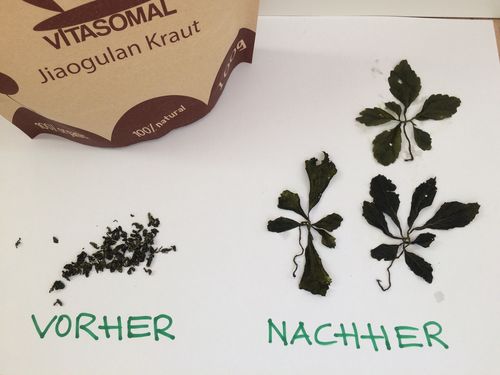 Customer photo review of Jiaogulan Kraut lose 100 g