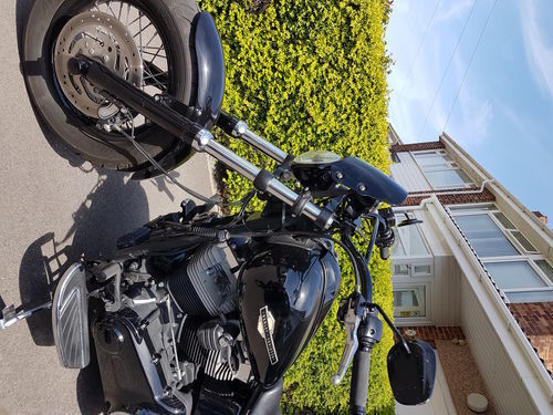 Customer photo review of Flyscreen - Piranha