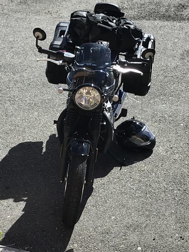 Customer photo review of Flyscreen - Marlin